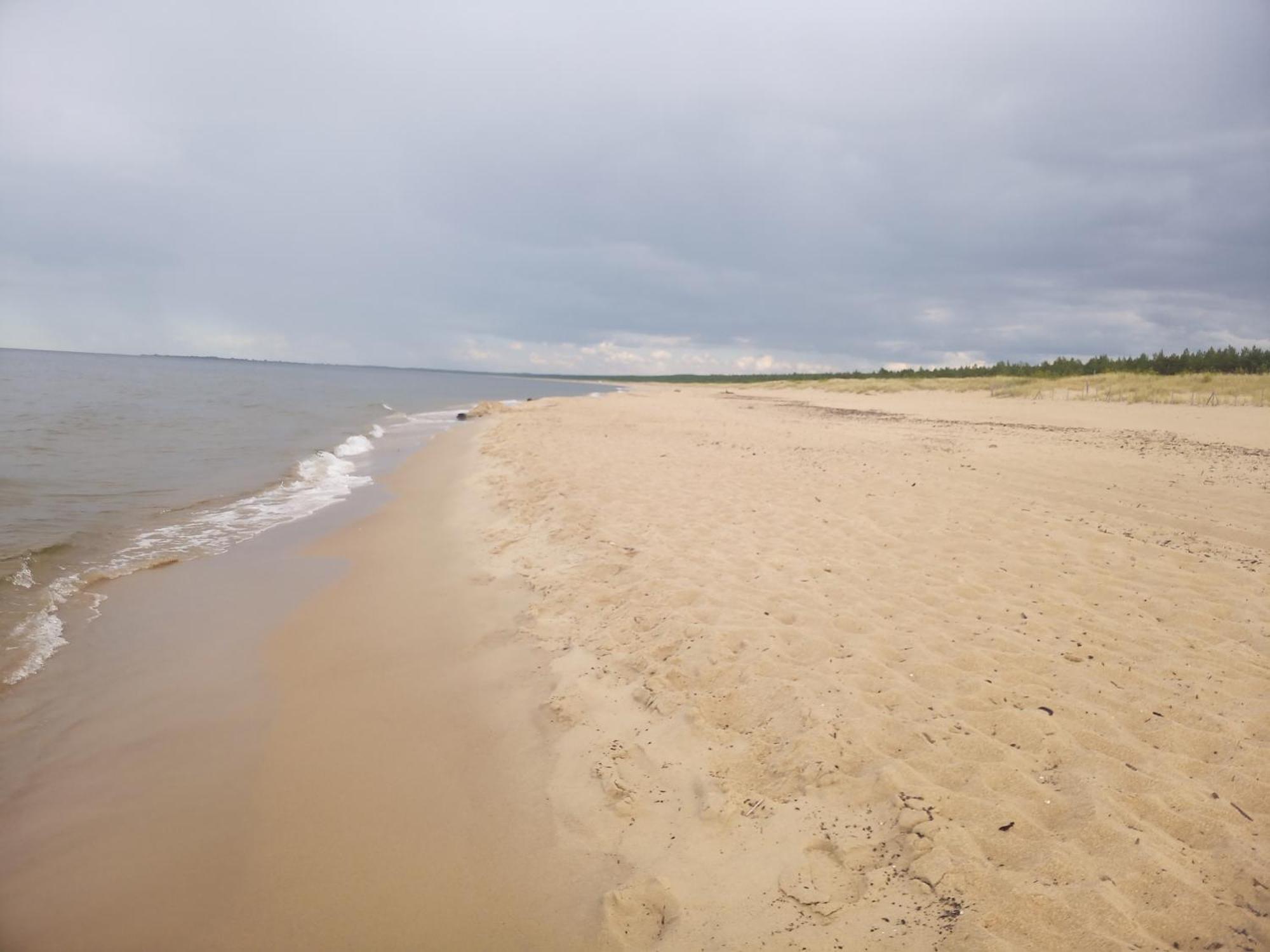 Pokoje Sobie Na Wyspie Gdansk Exterior foto